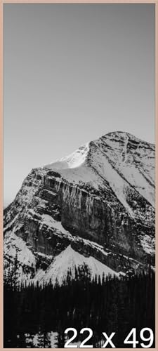 Frame It Easy 22 x 49 Rose Gold Metal Frame (Ashford)