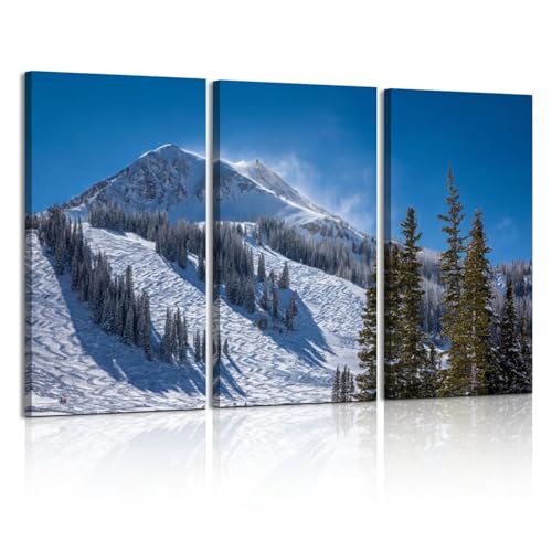 3 Piece Canvas Wall Art Prints Picture winter view from