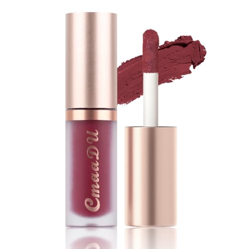 Image of evpct 6Pcs Maroon Red Silky Velvet Matte Liquid Lipstick Lip Gloss Set for Women Long Lasting 24 Hours Color Stay Lipstick labiales matte larga duracion mate 24 horas originales 10#
