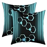 ★ tissu utilisé. Fait de 100% polyester, le même tissu dans les zones avant et arrière, doux et durable; La fermeture à glissière invisible sur la taie d'oreiller est bien cousue sans fil lâche. Simple et belle. Facile à entretenir et lavable en machine.