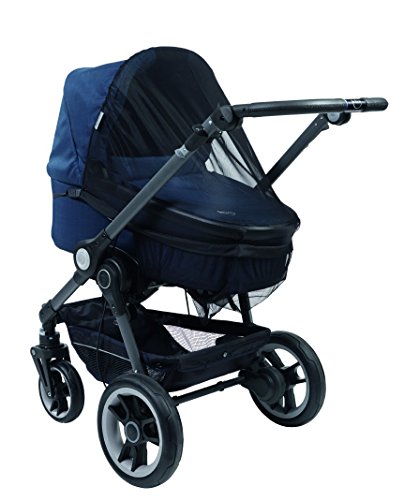 Teutonia estate Set 2016