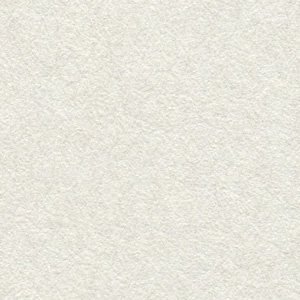  81.4g  0.12mm A4TCY 500 