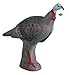 Rinehart Targets 405 Alert Turkey Self Healing Archery Hunting Target