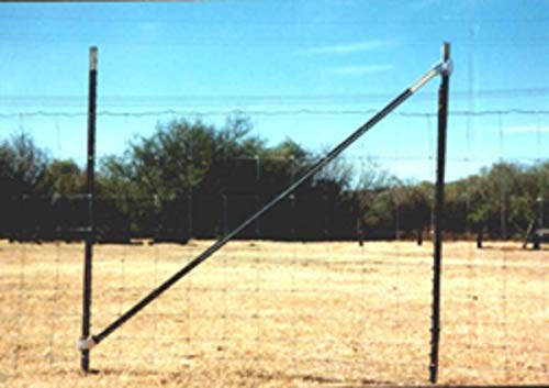 212 Main Single Diagonal Braces