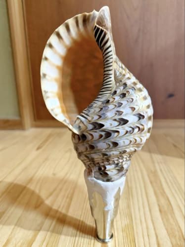 コンパクト修験道法螺貝 山伏 密教 魔除け 熊よけ??ほら貝 ホラガイ コンパクト修験道法螺貝 山伏 密教 魔除け 熊よけ??ほら貝 ホラガイ