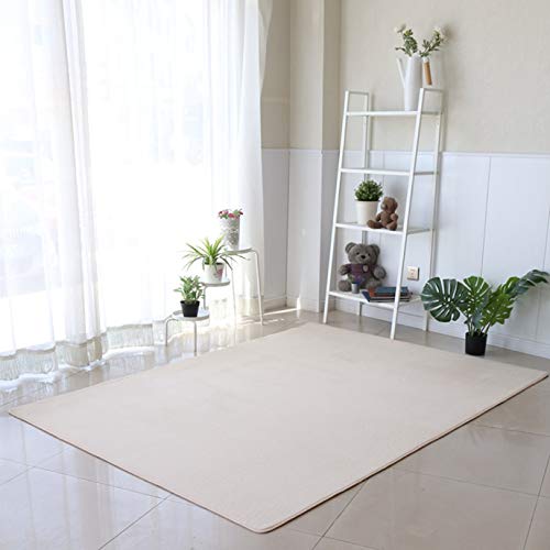 [�C�m��] �J�[�y�b�g �􂦂� ���O ����~�� �E���^�� 60*120 ����ӂ� �}�b�g �ې� ���� �E�H�b�V���u�� ���n �O�~ �_�C�j���O���O �q������ �t�ďH�~ ������� 80*120 07 ���O�}�b�g �O���[�� �C�G���[ �����` �z�b�g�J�[�y�b�g 