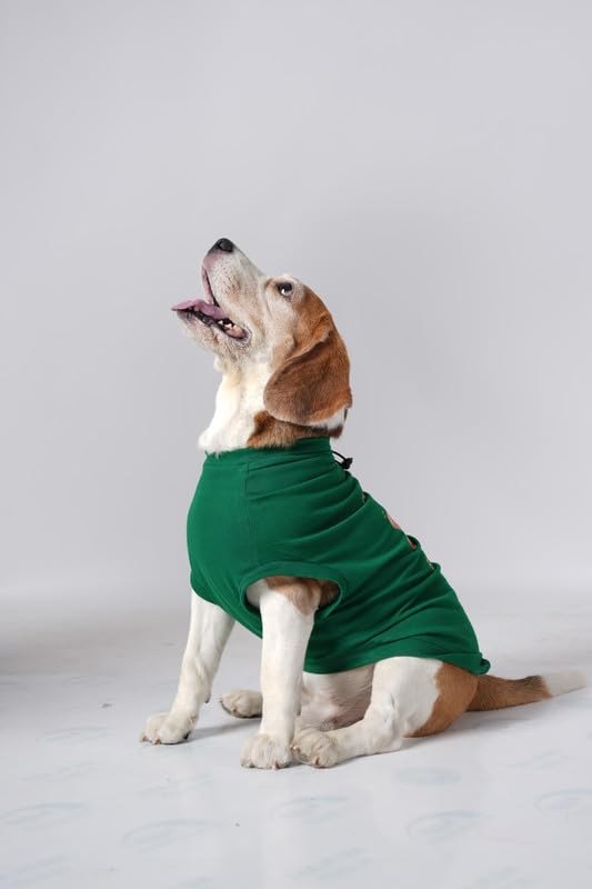 Image of Thunder Tails Premium Cotton Dog T-Shirt | Adjustable Neck | for Medium Dogs | Green | X Large | for Beagle