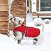 MIGOHI Reflective Waterproof Windproof Dog Coat Cold Weather Warm Dog Jacket Reversible Stormguard Winter Dog Vest for Small Medium Large Dogs(Red, M)