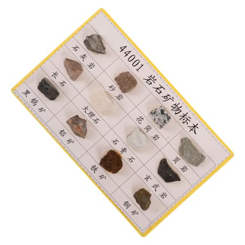 NAMOARLY 12 Pcs Rock Specimen Set Mineral Rock Specimen for Geology Classroom Display Mineral Rock Specimen Rock Specimen for Laboratory Rock Specimen for Collection Rock Collection Plastic