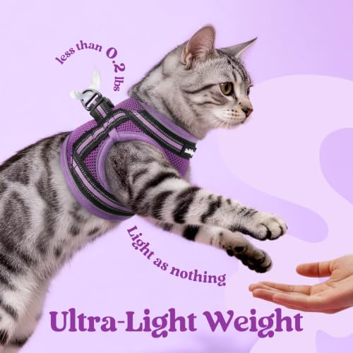 Image of rabbitgoo Cat Harness and Leash Set, Step-in Soft Vest, Purple-Light Purple