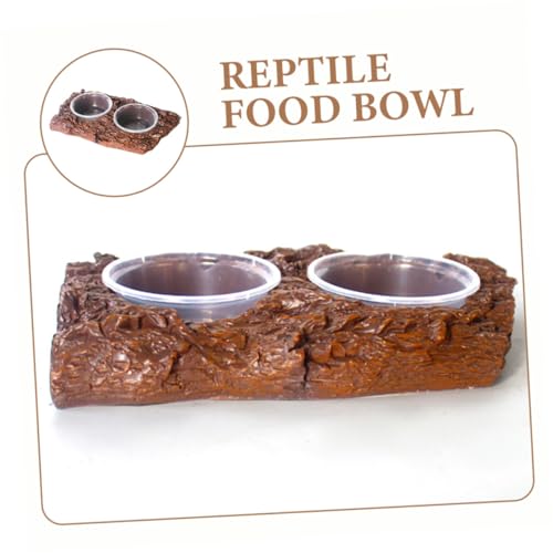 Bac à nourriture pour reptile et abreuvoir de terrarium pour tortue et lézard
