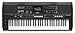Yamaha PSR-E483, 61-Key Touch-Sensitive Portable Keyboard with Sound, Music Rest and Power Adapter
