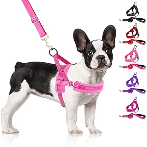 SlowTon Dog Harness and Dog Lead Set, Soft Padded Pet Vest Harness with Dog Leash Adjustable Reflective Car Harness and Bungee Dog Training Leash Quick Fit Harness for Small Puppy and Cats Daily Use Cover