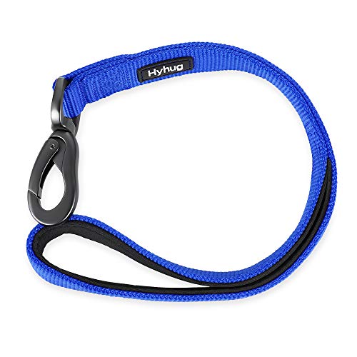 Durable And Comfy 18'' Nylon Short Leash With Super Soft Neoprene Lined Handle For Large Medium Boy And Girl Dogs - Daily Use Walking And Professional Training. (Bright Blue) #TOP5