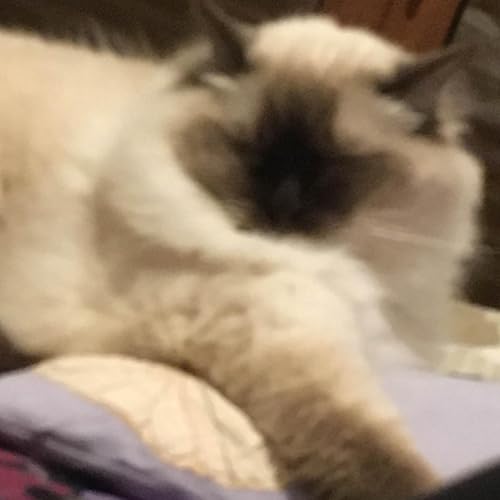 Scleropatia cover art