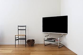 Amazon | ザイトガイスト zeitgeist FSM フロア スタンド メタル