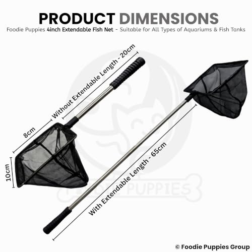 Image of Foodie Puppies Extendable Fish Net (4 Inch /10 cm) | Aquarium Fish Net with 9-22 Inch Telescopic Handle for Betta, Small Koi Pond & Pool | Stainless Steel Handle, Fine Mesh Net for Fish & Shrimp Tank