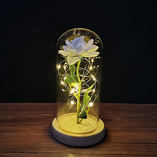 ZWMBYN Presentes de Dia dos Namorados Rosa A Bela e a Fera para ela, Acenda para sempre Galaxy Rose em cúpula de vidro, flor artificial rosa de vidro presente para mulheres no aniversário, Natal, aniversário de casamento, Dia das Mães
