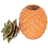 Teedosen - unsere keramikbox in ananasform kann eine erfrischende wahl sein, um ihren freunden und kollegen als teedose zu schicken