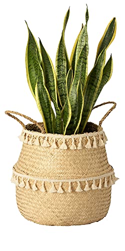 Image of Artera Woven Seagrass Plant Basket - Wicker Belly Basket Planter Indoor with Plastic Liner and Handles, Natural Plant Pot for Fiddle Leaf Fig Tree, Snake Plant (M, Natural with Tassel Macrame)