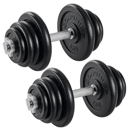 SONGMICS Hanteln, Hantelset aus Gusseisen, Kurzhanteln, 2 x 25 kg,...