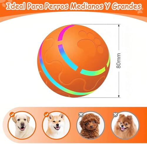 Gimnasios Y Tapetes, Toy Imagen adicional