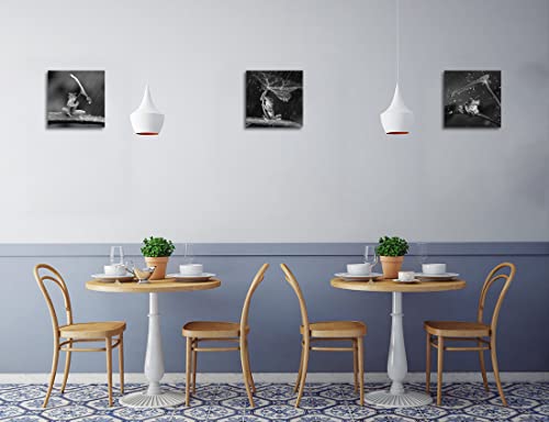 Black And White Wall Art Canvas Wildlife Wall Decor Frog With Umbrella Pictures On Wall Art For Home Office Decorations Living Room Bedroom And Kitchen Decor 3 Pcs Framed Canvas Prints 12X12Inches #TOP2