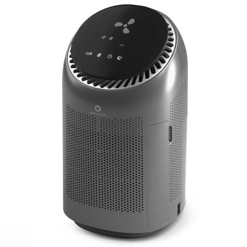 Airthereal AZH200 2-in-1 Luftentfeuchter und Luftreiniger Kombigerät Mini Luftentfeuchter mit HEPA-Filter 1000ml für Räume bis 25m Auto-Abschaltung Leise für Schlafzimmer Badezimmer Wohnmobil