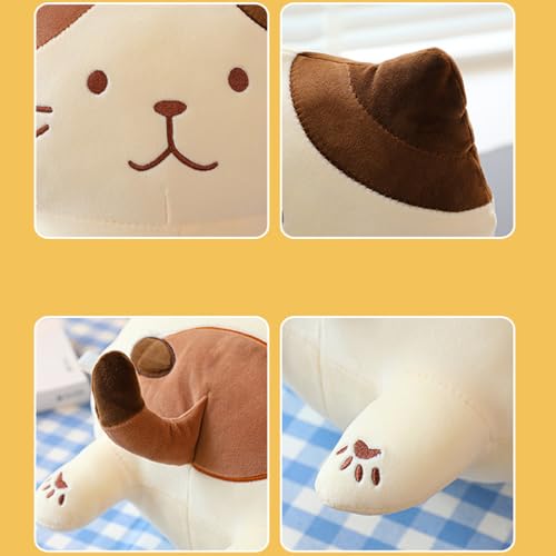 Peluche Chat et coussin décoratif pour le salon - 8