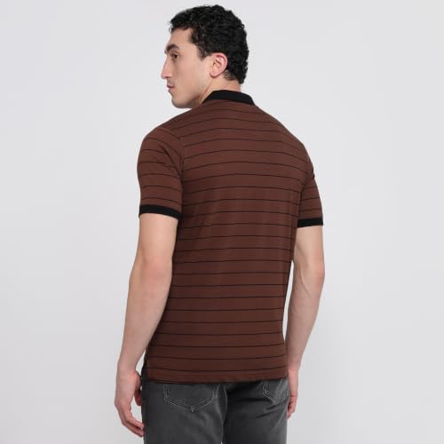 Image of Park Avenue Men Slim Fit Stripe Pattern Pure Cotton Polo Neck Half Sleeve Casual T-Shirt
