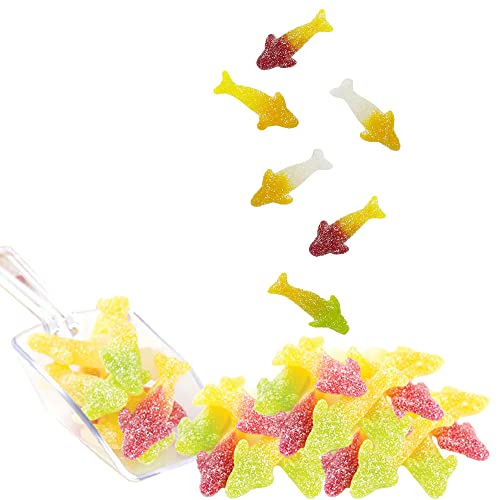 Fruidles Sour Gummy Sharks, Mixed Variety Fruit Shark Gummies (2 Pounds) #TOP1