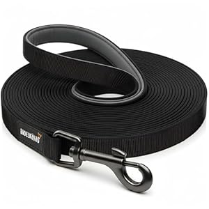 Rudelkönig Schleppleine 10m für Hunde - Robuste & wetterfeste Hundeleine für eine erfolgreiche Hundeerziehung - Mit Griffpolsterung
