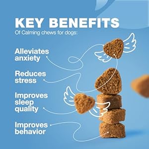 Hempalminghewsforstormsseparationfireworksvetvisitstravelgrooming180treatsduckflavor Urban Country Home Decor Hemp alming hews for storms separation fireworks vet visits travel grooming 180 treats duck flavor urban country home decor