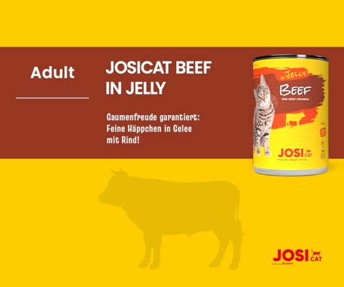 JosiCat Beef in Jelly (12 x 400 g) | Adult | Premium Nassfutter für ausgewachsene Katzen | Rind in Gelee | Vitamin D3 & E | getreidefrei | Powered by JOSERA | Katzenfutter nass | 12er Pack