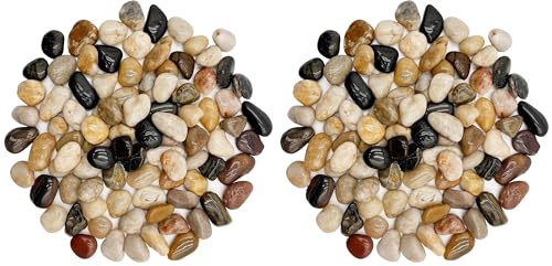 Image of RITOLLO 12 lb River Rocks Pebbles for Indoor Plants 3 /8-1 Inch Natural Aquarium Gravel Decorative Fish Tank Rocks Garden Landscaping Decor (Pack of 2)