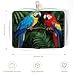 SEBNATAL Fashion Credit Card Holder Wallet for Daily Use, Compact Parrot Green Painting Leather Case Purse with Metal Zipper