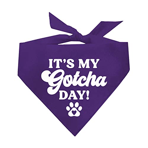 It's My Gotcha Day!���p�o���_�i | 100%�R�b�g�� ���߉\ �O�p�` | �A�����J�� | �{�q���g �C�x���g ������ �ʐ^�B�e | ���X�L���[ | �p�[�v�� �����T�C�Y(12)