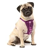 Kurgo Enhanced Strength Tru-Fit Dog Car Harness - Pet Travel Safety Harness - Crash Test Certified Fit - Five Point Adjustment - Secure Buckle - Padded Chest - Deep Violet - Small