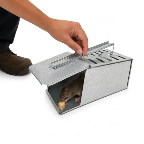 Image of Pure Source India Heavy Duty Galvanized Metal Rat Trap Cage | Humane Live Catch Rodent Trap | Reusable Mouse Catcher for Home, Kitchen, Warehouse, Garden & Farm