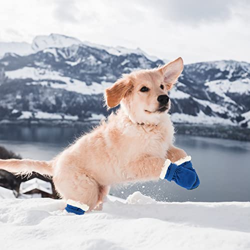 Hundeschuhe,4 Stück Hundeschuhe Pfotenschutz wasserdichte Schneeschuhe Pfotenschutz mit Anti-Rutsch Sohle Outdoor Pfotenschützer Hundeschuhe für kleine mittlere Hunde Herbst Winter (Blue)