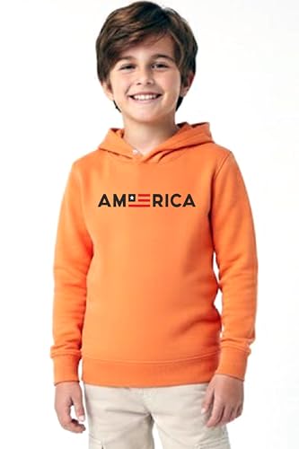 Image of Boys Hooded Sweatshirt, America Print, Cotton Blend, Long Sleeve, Navy Blue /Pink /Orange, Regular Fit