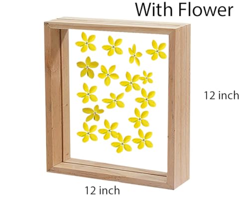 Image of Desi Rang Wooden Square Frame For Wall Decor Table Top Hanging Any Green Or Dry Plant Leaf Picture Photo DIY Gift Home Decoration (Natural,Sqr,12X12 Inch,With Yellow Flower)