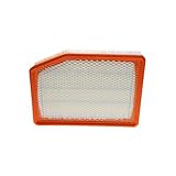 ACDelco GM Original Equipment A3246C (84121217) Air Filter