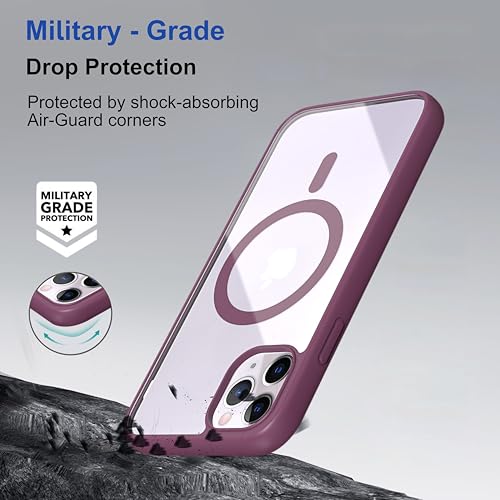 Image of Zapcase Back Case Cover for iPhone 11 Pro Max | Compatible for iPhone 11 Pro Max Back Cover | Scratch-Resistant Back Cover | Wine Red