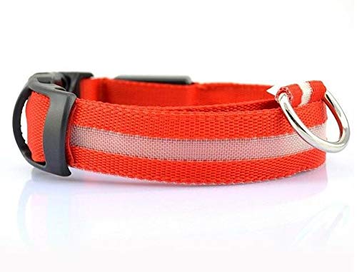 Collier pour chiens LED rouge XL idéal pour la balade nocturne en toute sécurité