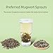 HANFANGLING Mugwort Tea, Natural Herbal Tea, Refreshing, Made from Premium Natural Mugwort Buds, Gift Tea (Loose Leaf)