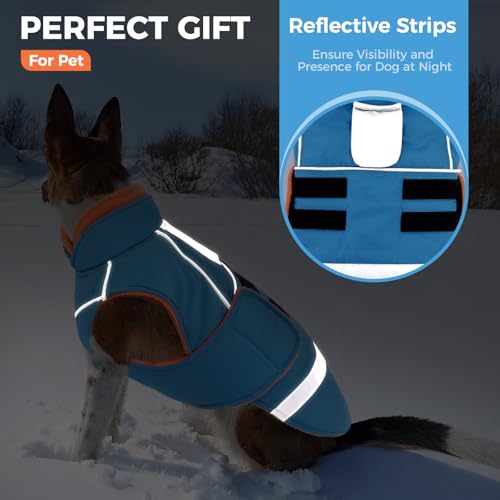 CITÉTOILE Hundejacke mit Klettverschluss – Reflektierend, Führungsöse & wärmender Kragen – Leichtes Wintercoat mit weicher Füllung, Blau, XL