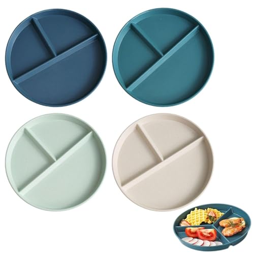 Image of 4 Piece Dinner Plate, Fruit Plate, Food Plate, Reusable Dinner Plate, Kitchen Supplies, Kids Dinner Plate, Plastic Dinner Plate