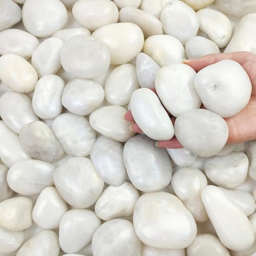 FANTIAN 40 lbs White River Rocks for Landscaping, 2-3 Inch Polished Pebbles