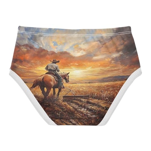 American West Cowboy Toddler Girls's Underwear 2T 202b87132